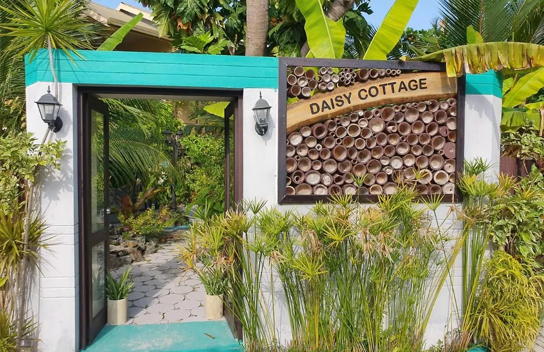 Daisy Cottage Dhangethi-1