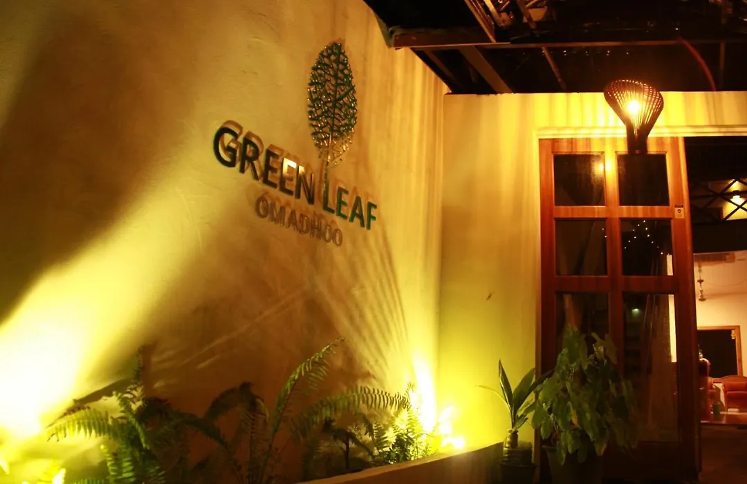 Green Leaf Guest House - Omadhoo-1