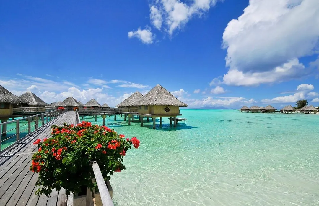 Symphony Villas By Maldives-1