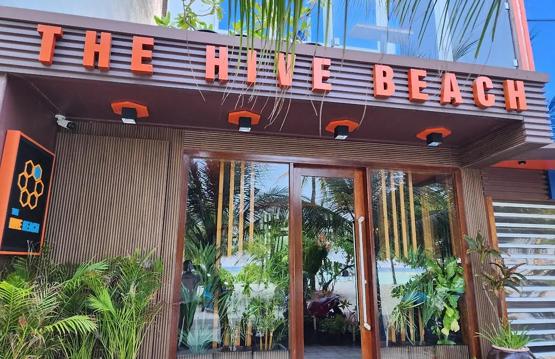 The Hive Beach-1
