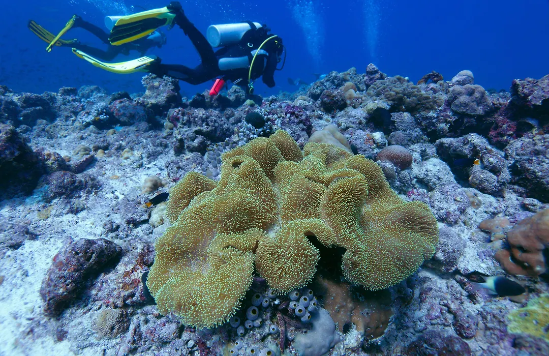 Ocean Beach Inn - Maldives-1