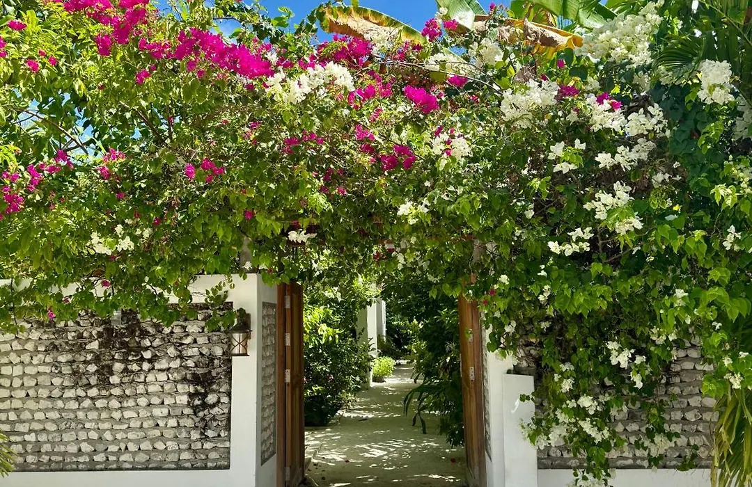 Seaside Dhigurah-1