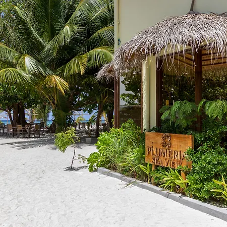 Plumeria Maldives-2