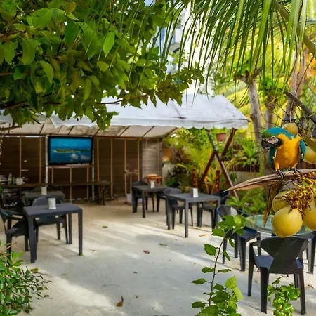 Daisy Cottage Dhangethi-3