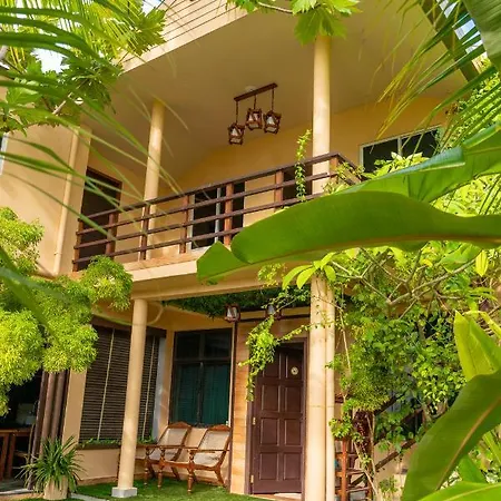 Daisy Cottage Dhangethi-2