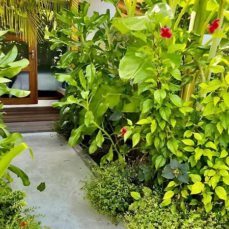 Seaside Dhigurah-2