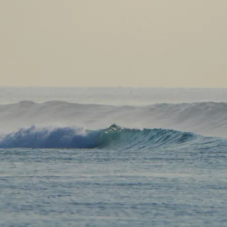 Sun & Surf-3