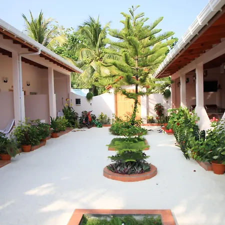 Evila Inn - Thoddoo-3