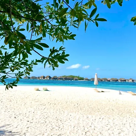 Pearl Sands Of Maldives-3