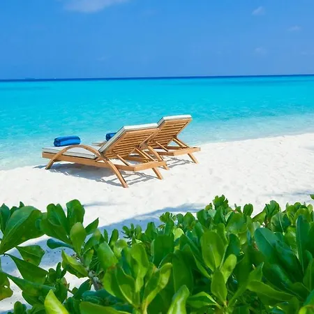 Wonder Retreat Maldives-3