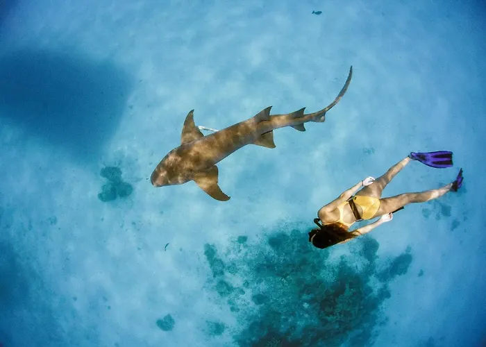 Hotel Tides Dhigurah Dhigurah 