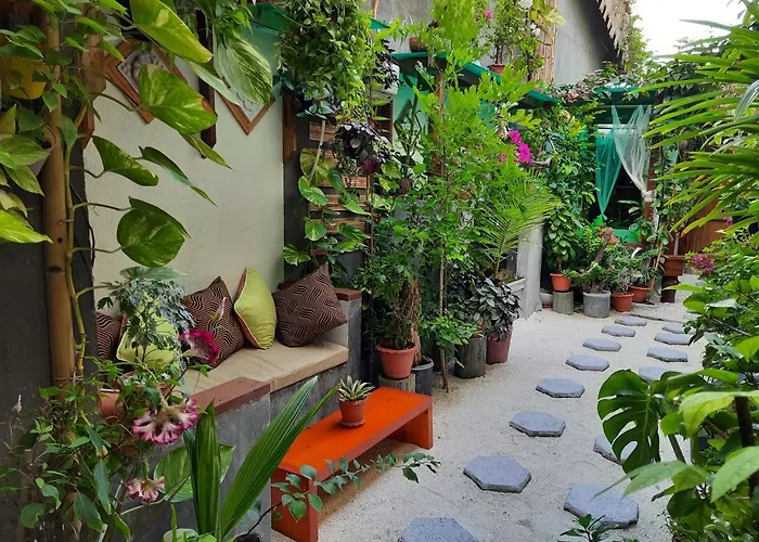 Pet friendly Maladiwa Beach & Spa Maafushi