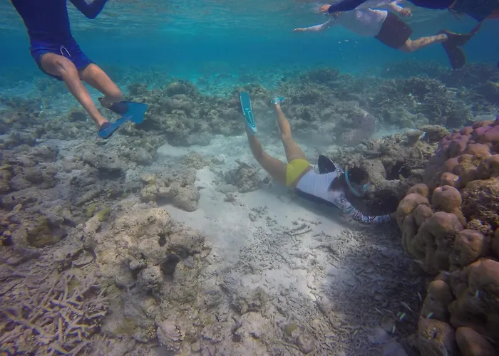 Kaafu Inn Guraidhoo