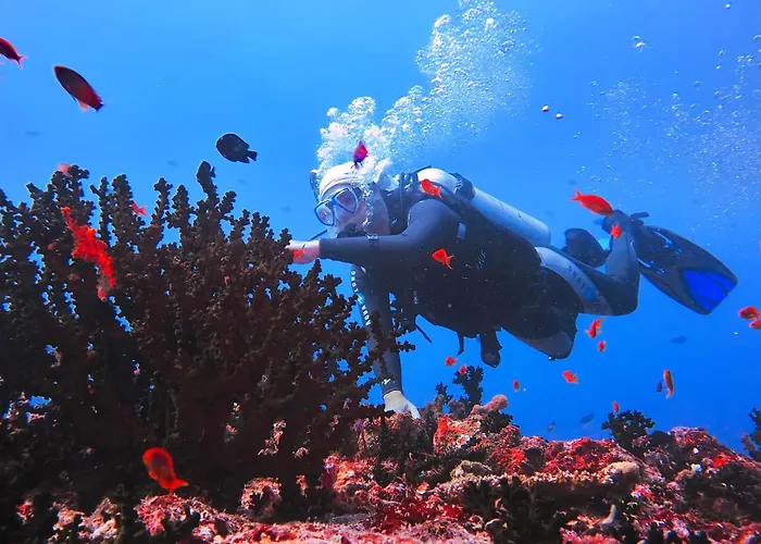 Hôtels pas chers à Archipel des Maldives