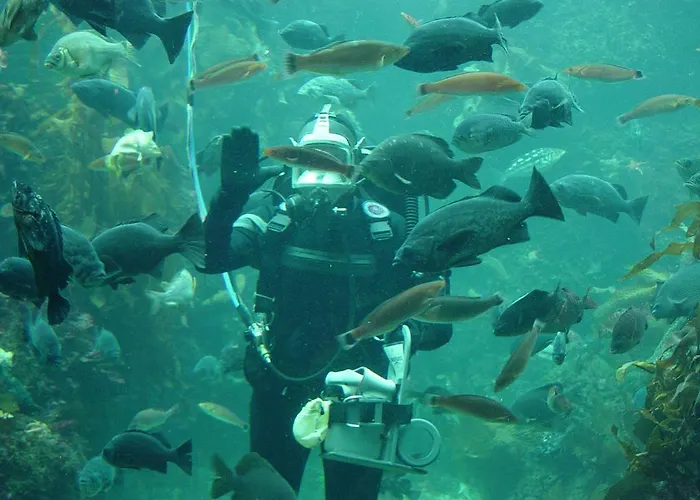 Hébergement indépendant à Malé